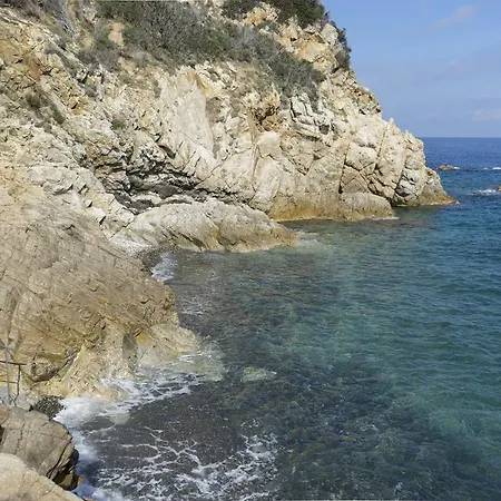 Le Primule Marciana Marina (Isola d'Elba)