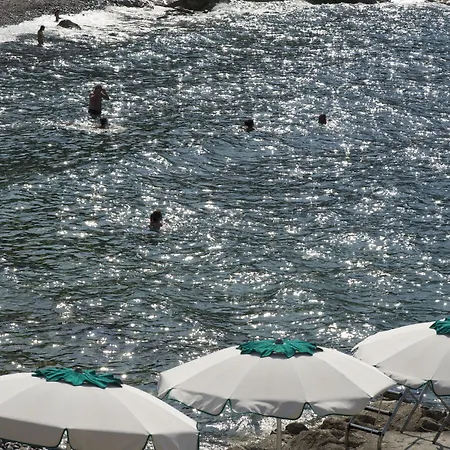 Le Primule Apartamento