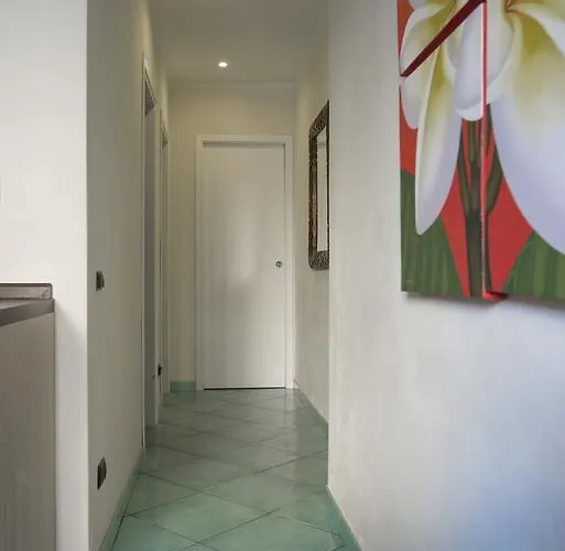 Le Primule * Marciana Marina (Isola d'Elba)